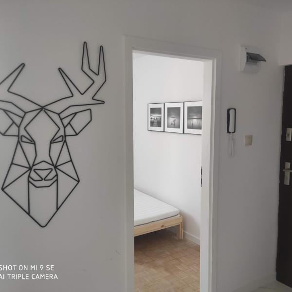 wynajmę pokój jednoosobowy osiedle Tatary blisko Uczelni WSEI